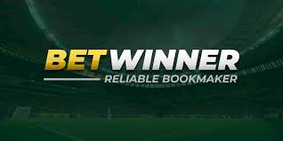 Understanding Betwinner Terms & Conditions 2 Understanding Betwinner Terms & Conditions 2